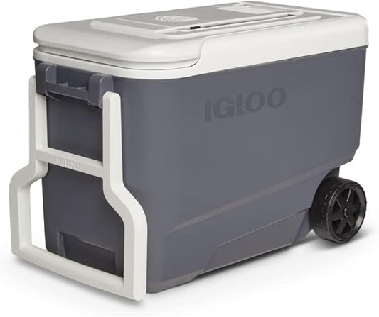 Igloo Iceless Thermoelectric Cooler | Portable Electric Plug-in Coolers