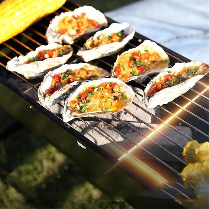 Thickened Barbecue Stove Home Charcoal Rack Outdoor Carbon Grill