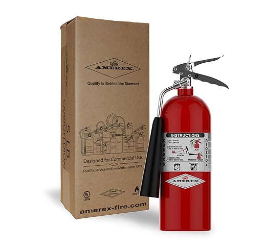 Amerex 322 5lb CO2 Fire Extinguisher with Chrome Plated Brass Valve and Wall Hanger