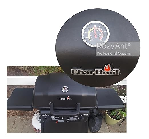 DOZYANT BBQ Charcoal Grill Smoker Temperature Gauge 2 PCS Pit Barbecue Thermometer Fahrenheit and Heat Indicator for Meat Cooking Port Lamb Beef, Stainless Steel Temp Gauge