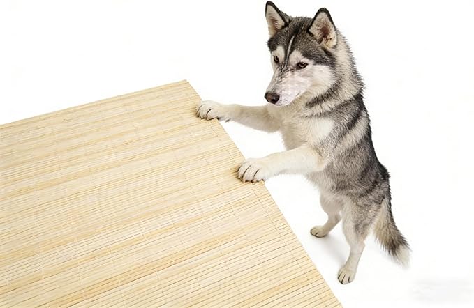 Dining Table Placemat, Heat-Resistant Place Mat Stain Resistant Anti-Skid Washable Bamboo Table Mat Placemat Kitchen Table mat… (Original Color)
