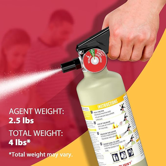 Ougist ABC Dry Powder Fire Extinguisher, 2.5lb – 1-A:10-B:C Rated for Home, Office & Vehicle, Quick Release, Easy-Grip Handle, Ideal for Electrical & Grease Fires, Car Extinguisher, Model FF1KG