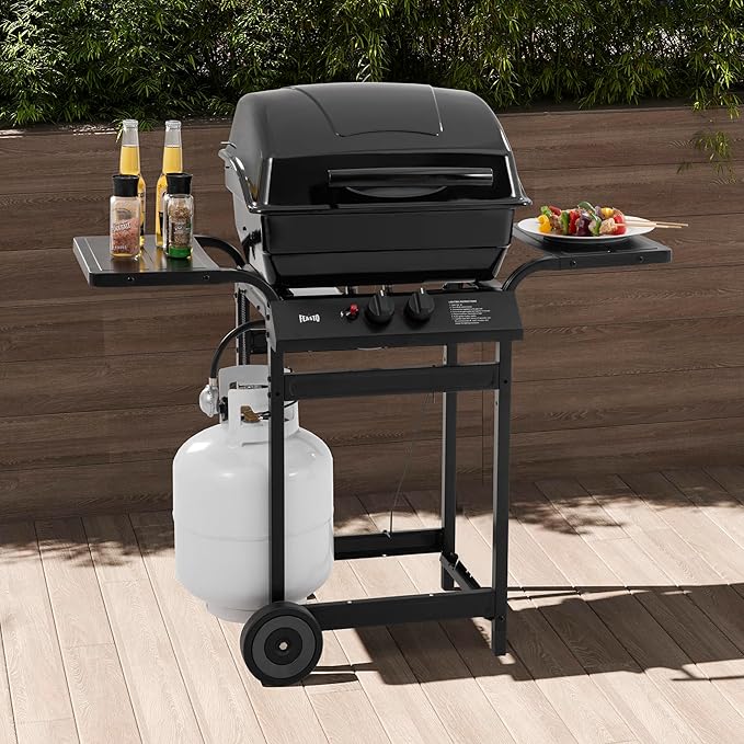 Feasto 2 Burner Propane Gas Grill with 26,500 BTUs Output, Porcelain-Enamel Main Body and Lid, Propane BBQ Grill with Warming Rack & Side Tables for Patio, Backyard, Poolside Gatherings