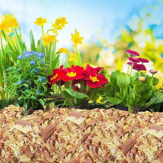 100% Natural Cedar Shavings | Mulch | Great for Outdoors or Indoor Potted Plants | Dog Bedding (16 Quart)