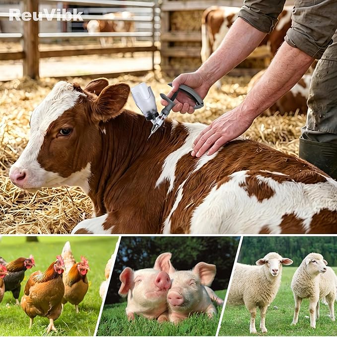 5ML Livestock Syringe Gun, Automatic Self Refill Injection Gun Continuous Adjustable Bottle Attachment Livestock Animal Syringe with 10 Needles, for Chicken, Duck, Pig, Sheep, Cow Poultry (Grey)