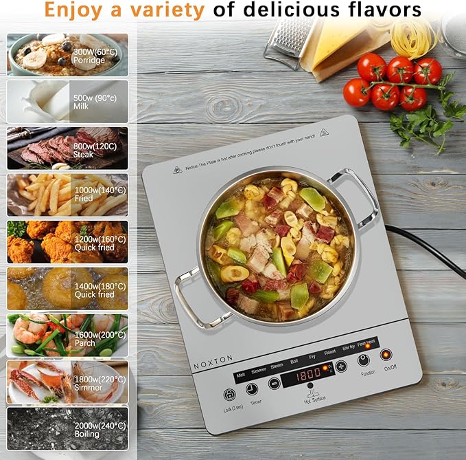 Noxton Portable Electric Stove 110V, 1800W Single Burner Electric Cooktop, Countertop Burner Electri Hot Plate, 4 Hour Timer, 9 Power Level, Child Safety Lock, Compatible with All Cookware(Grey)