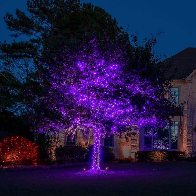 TW SHINE Purple Halloween Lights, 20FT 100 Count Incandescent Mini String Lights, Waterproof Halloween Decorations for Outdoor Indoor Patio Home Party Garden Yard Decor