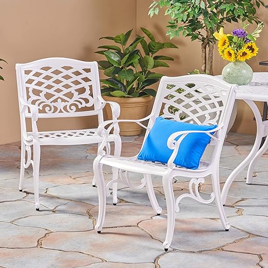 Christopher Knight Home Brody Outdoor White Cast Aluminum Arm Chair (Set of 2)