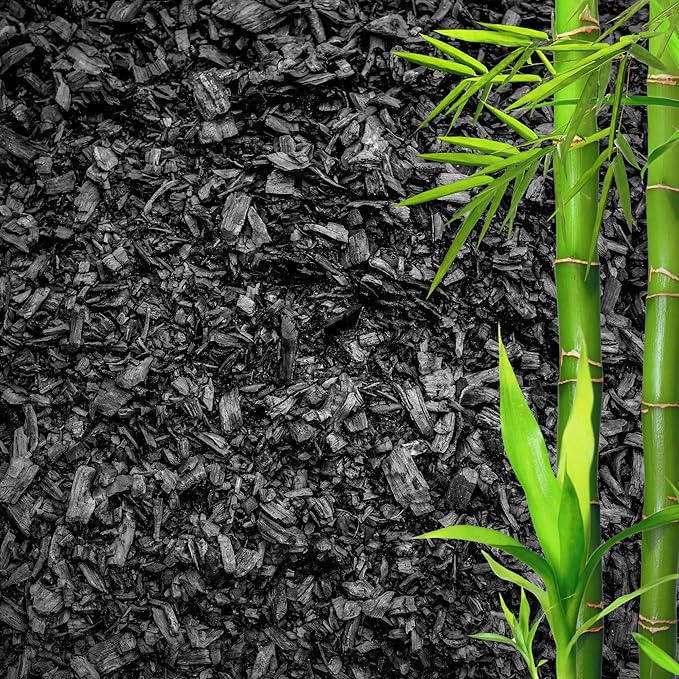 GARDENWISE Horticultural Charcoal for Plants – Organic Bio Char Soil Amendment for Terrariums, Indoor Plants & Gardening, Made in USA (30 quarts)