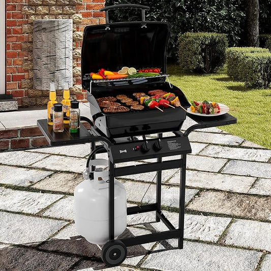 Feasto 2 Burner Propane Gas Grill with 26,500 BTUs Output, Porcelain-Enamel Main Body and Lid, Propane BBQ Grill with Warming Rack & Side Tables for Patio, Backyard, Poolside Gatherings