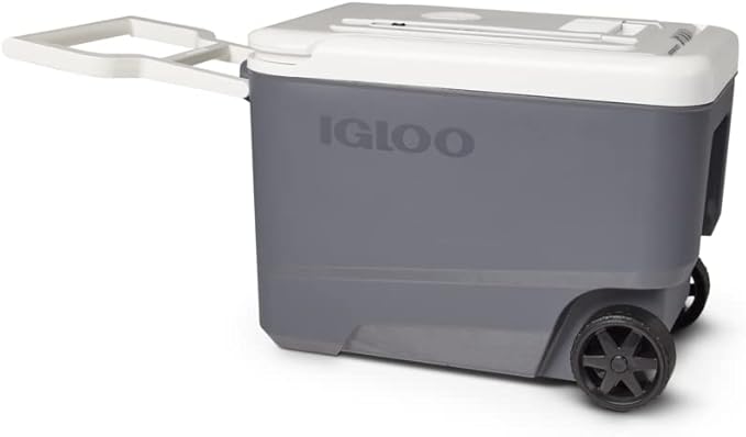 Igloo Iceless Thermoelectric Cooler | Portable Electric Plug-in Coolers