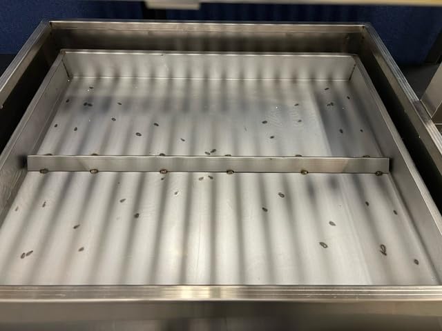 Santa Maria Grill Built in BBQ Cooking Grill -Argentine Barbecue V grate adjustable height- 36 by 26 inch
