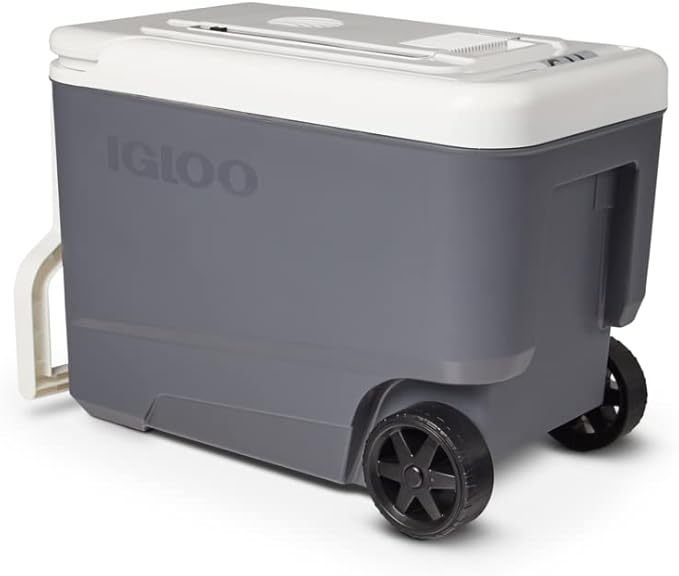 Igloo Iceless Thermoelectric Cooler | Portable Electric Plug-in Coolers