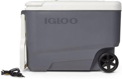 Igloo Iceless Thermoelectric Cooler | Portable Electric Plug-in Coolers