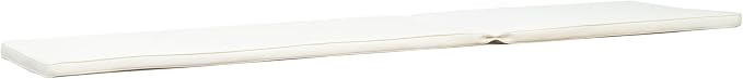 Christopher Knight Home 309784C Shane Chaise Lounge Cushion Outdoor Set of 2 with Removable Cover, 2 Piece Water-Resistant Lounge Chair Cushion 78.75" L x 23.75" W x 1.5" H Cream