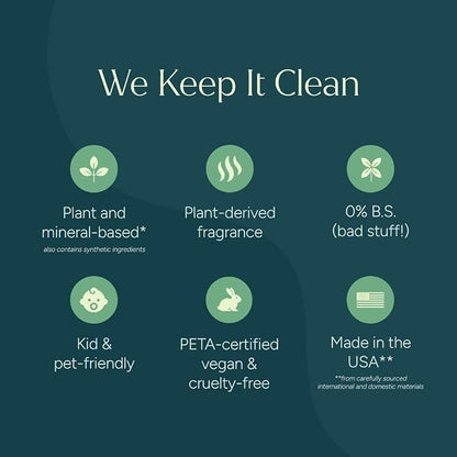 Puracy All Purpose Cleaner Spray – Plant-Powered Multi-Surface Cleaner - Cleaning Spray Solution As Seen on TikTok (Green Tea & Lime, 16 fl oz, 1 Pack)
