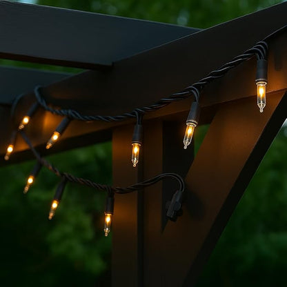 Novelty Lights 50 Feet 100 Bulbs Traditional Incandescent Mini Lights, Clear on Black Wire with 6" Spacing, Commercial Grade and UL Listed for Indoor/Outdoor Use, End-to-End Connectable