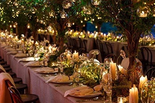 Dailyart 6feet 120 LED Starry Lights, Battery Operated Waterproof Dark Green Copper Wire Fairy Light String Light for Garland, Wreath, Patio, Garden, Wedding, Party, Xmas (Pack of 2)