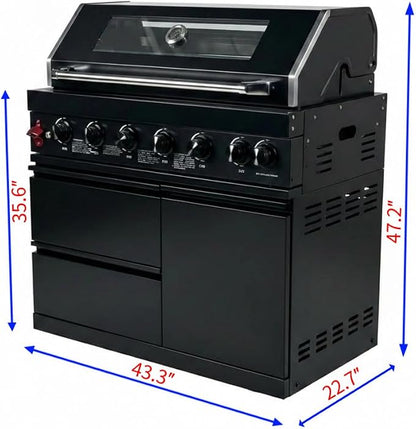 43 Inch Outdoor Kitchen Island, 6-Burner Propane Stainless Steel BBQ with Rear Burners, For Backyard BBQ, Black