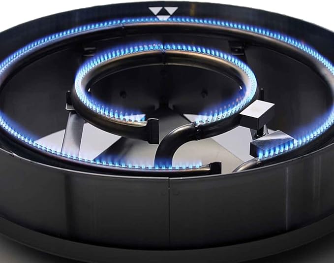 Evo Professional Series Tabletop Gas Grill (10-0021-LP), Seasoned Steel Cooktop, Propane