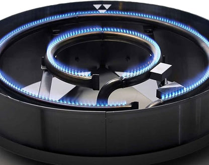 Evo Professional Series Tabletop Gas Grill (10-0021-LP), Seasoned Steel Cooktop, Propane