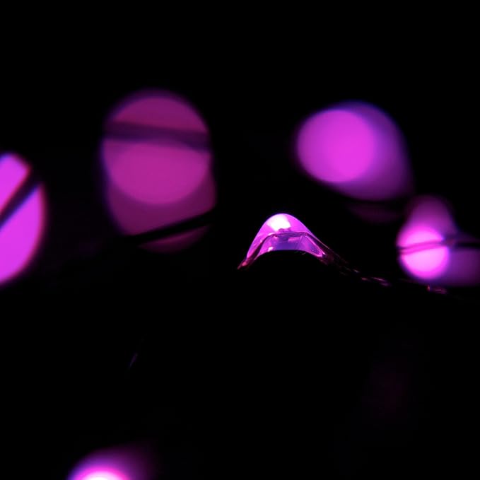 2-Pack 20 LED Wire Twinkle Fairy Lights, Battery Powered, Waterproof — Christmas, Holidays, Wedding, Party — Bedroom, Living Room — 6.5 Ft, Pink, Indoor & Outdoor