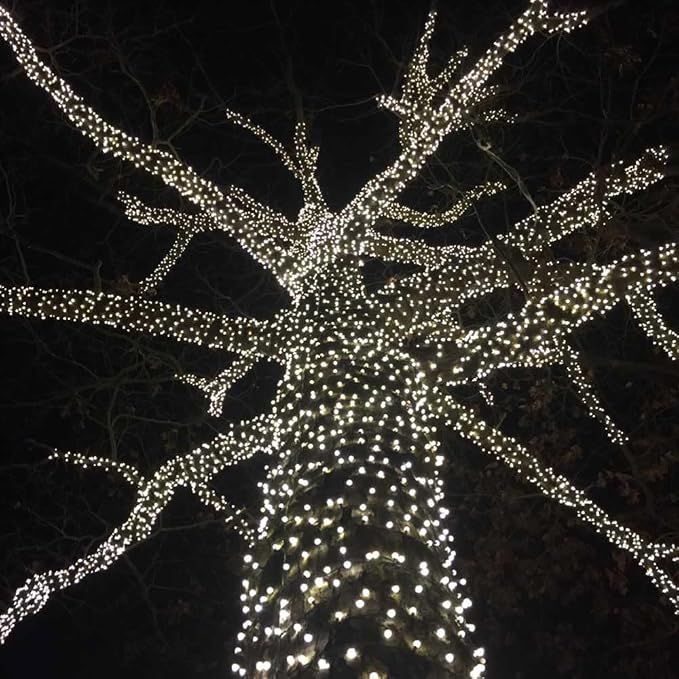 Novelty Lights 50ft 100 LED Pure White Christmas String Lights, Brown Wire | UL Listed, IP55 Commercial Grade Xmas Lights, 6 Inch Spacing, Outdoor & Indoor, Dimmable, Connectable, & Flicker Free
