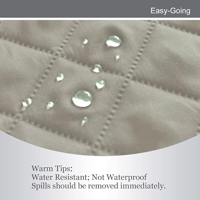 Easy-Going Reversible Loveseat Couch Cover for 2 Cushion Couch Sofa Cover for Dogs Water Resistant Furniture Protector with Foam Sticks Elastic Straps for Pet (Loveseat, Beige/Beige) | Machine Washable Slipcover For Dogs, Water Resistant Furniture Mat ...