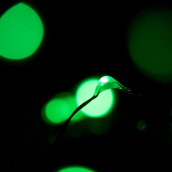 2-Pack 20 LED Wire Twinkle Fairy Lights, Battery Powered, Waterproof — Christmas, Holidays, Wedding, Party — Bedroom, Living Room — 6.5 Ft, Green, Indoor & Outdoor