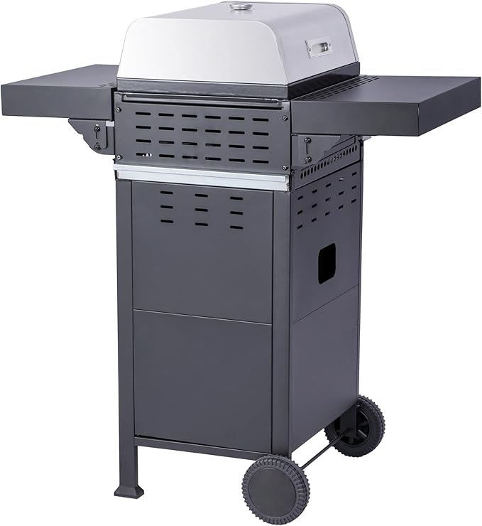 2-Burner Propane Gas BBQ Grill, Pizza Box, 24600BTU Output With Wire Enamel Cooking Grids For Outdoor Barbecue, Foldable Side Table, Hanging Basket, Stainless Steel