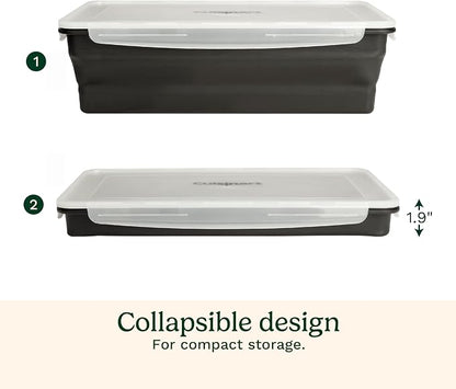 Cuisinart XL Collapsible Marinating Container, Large Capacity Grill Accessories Perfect for BBQs and Tailgates, Marinade and Brining Prep, Collapsible Silicone for Easy Storage (Pack of 4)
