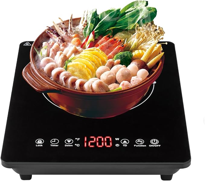 Portable Induction Cooktop with Timer 1800W, 9 Power & Temperature Levels, Child Safety Lock, Thin Design for Home, Office, RV Travel, US Plug 110-120V