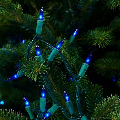 Novelty Lights 50 Feet 100 Bulbs Traditional Incandescent Mini Lights, Blue on Green Wire with 6" Spacing, Commercial Grade and UL Listed for Indoor/Outdoor Use, End-to-End Connectable