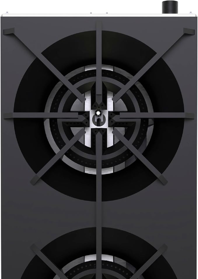 Commercial 2-Burner Gas Stove Countertop Cooktop, Convertible Propane Natural Fuel Cooker, Stainless Steel Hot Plate with Cast Iron Grates, 56,000 BTU Restaurant Foodservice Appliance