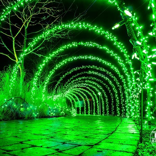 kemooie 500 LED Green St. Patrick's Day Lights, 164 FT Waterproof Fairy String Lights with 8 Modes & Memory Function, Plug in Outdoor String Light for Xmas Garden Balcony St. Patrick's Day Decor