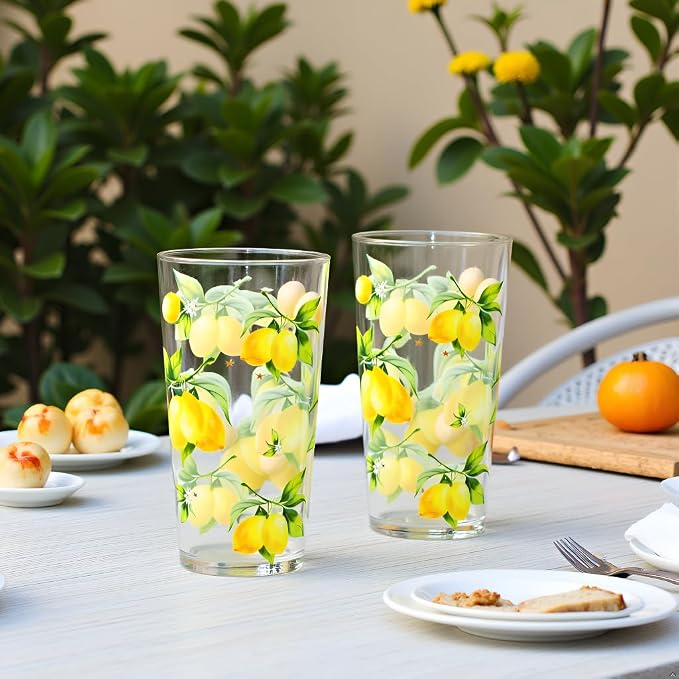 Reston Lloyd Calypso Basics Fresh Lemons 19 oz Acrylic Drinkware Set of 6 – BPA-Free, Indoor/Outdoor, Dishwasher Safe, Lemons with Bees
