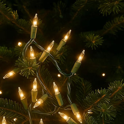 Novelty Lights 50 Feet 100 Bulbs Traditional Incandescent Mini Lights, Clear on Green Wire with 6" Spacing, Commercial Grade and UL Listed for Indoor/Outdoor Use, End-to-End Connectable