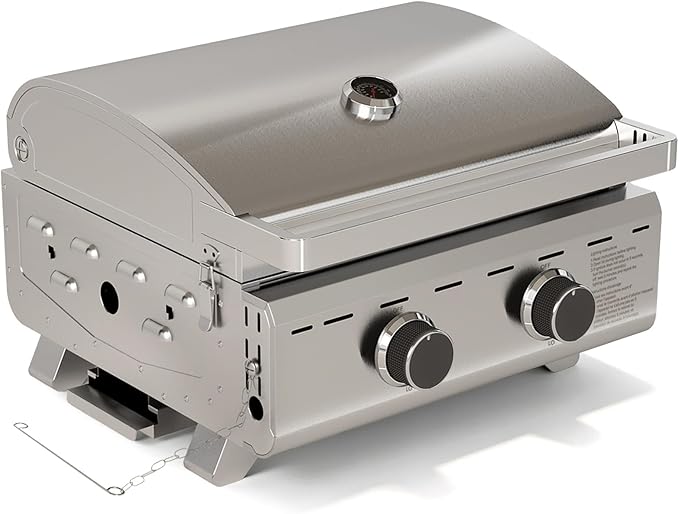 Electactic 16,000 BTUs Portable Tabletop Gas Grill, 2-Burner Propane Grill with Foldable Legs, 251 Sq.in Cooking Area, Stainless Steel BBQ Grill for Easy Assemble & Clean, Ideal for Outoor/RV/Patio