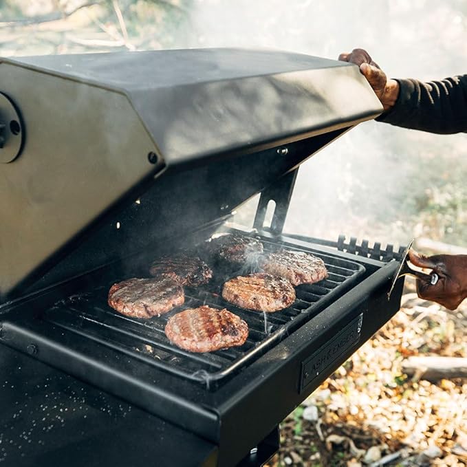 Ash & Ember Park-Style Grill/Smoker, 260 Sq In Charcoal Grill with Cover, 17.5"x11.5" Grate, Side Shelf for Food Prep, Single Post Permanent Park-Style Grill for Outdoor Backyard BBQ
