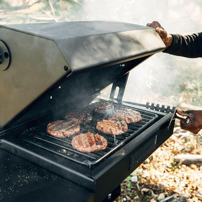 Ash & Ember Park-Style Grill/Smoker, 260 Sq In Charcoal Grill with Cover, 17.5"x11.5" Grate, Side Shelf for Food Prep, Single Post Permanent Park-Style Grill for Outdoor Backyard BBQ