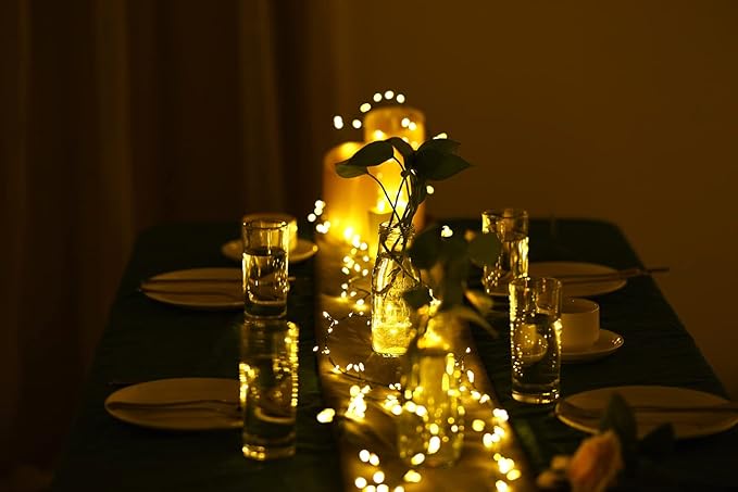 Dailyart 6feet 120 LED Starry Lights, Battery Operated Waterproof Dark Green Copper Wire Fairy Light String Light for Garland, Wreath, Patio, Garden, Wedding, Party, Xmas (Pack of 2)