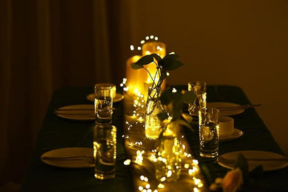 Dailyart 6feet 120 LED Starry Lights, Battery Operated Waterproof Dark Green Copper Wire Fairy Light String Light for Garland, Wreath, Patio, Garden, Wedding, Party, Xmas (Pack of 2)