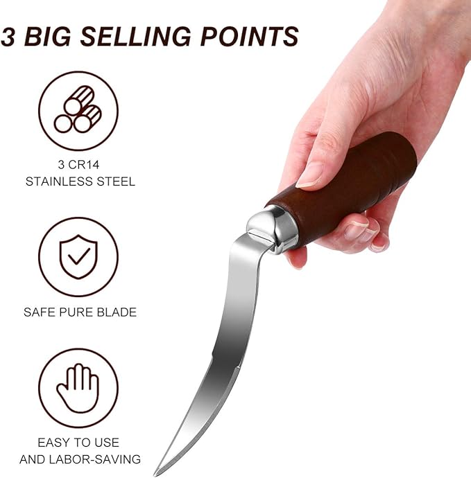 DOITOOL Coconut Meat Removal Tool Stainless Steel Fresh Coconut Scraper Knife with Ergonomic Wood Handle for Raw Shell Extraction and Manual Opener
