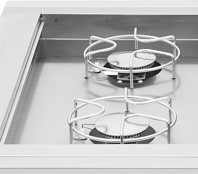 2-Burner Propane Gas Stove, 3.5KW Grilling Side Burners, 304 Stainless Steel Gas Stove with Cover Plate, Dual Knobs, for Patio BBQ, Backyard Cooking, Camping, Frying, Boiling