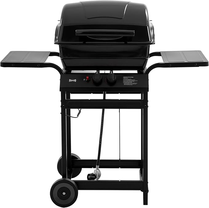 Feasto 2 Burner Propane Gas Grill with 26,500 BTUs Output, Porcelain-Enamel Main Body and Lid, Propane BBQ Grill with Warming Rack & Side Tables for Patio, Backyard, Poolside Gatherings