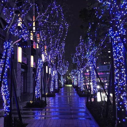 kemooie 500 LED Blue and White Christmas Lights, 164FT 8 Lighting Mode with Memory Plug in Christmas Tree Lights, for Outdoor Birthday Christmas Party Garden Balcony Decorations (Blue and White)