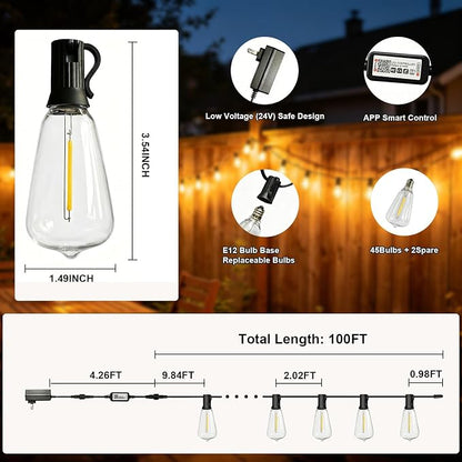 ST38 Outdoor String Lights 100FT, 45 Bulbs, App Remote | 45 LED Bulbs plus 2 Spare; 2700K Warm White; App and Remote; Music Sync; 24V Plug-In; Plastic Bulbs