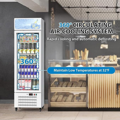 11.3 Cu.Ft Commercial Display Refrigerator, Glass Door Beverage Cooler with Adjustable Shelves, LED Lighting & Advertising Panel, Mobile Design, White