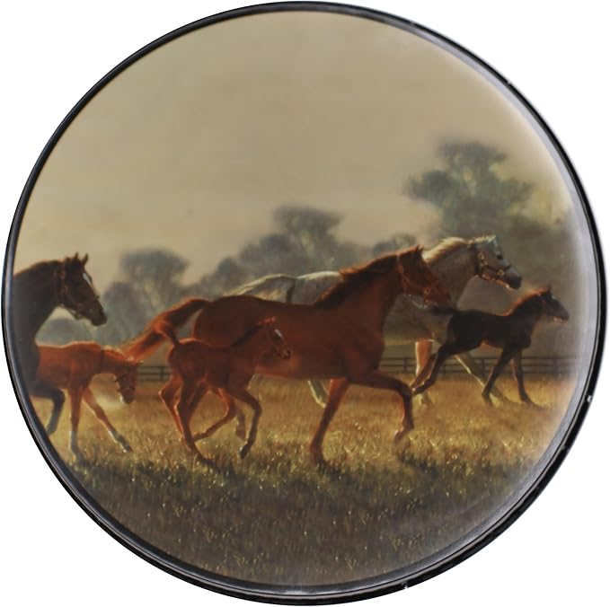 Reston Lloyd, Burner Covers For Electric Stovetop, Decorative Lightweight Tin Covers, Set of 4 (2-8 inch & 2-10 inch), Conceals Messy Drip Pans, Horses