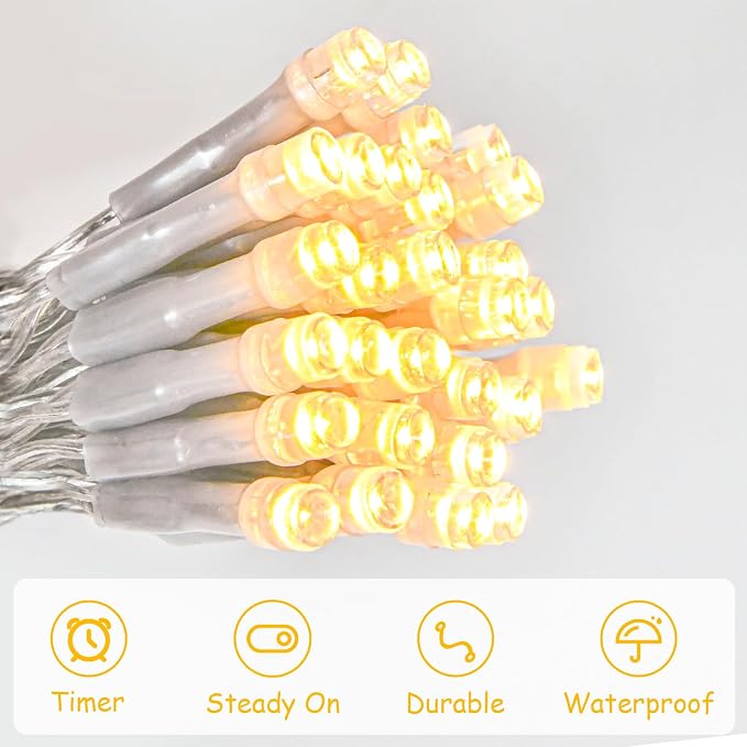 cshare String Lights Outdoor Waterproof 9.8ft 30 LED, Warm White Fairy Lights Battery Operated with Timer Clear Wire for Indoor & Outdoor Decorations Garland Party Garden